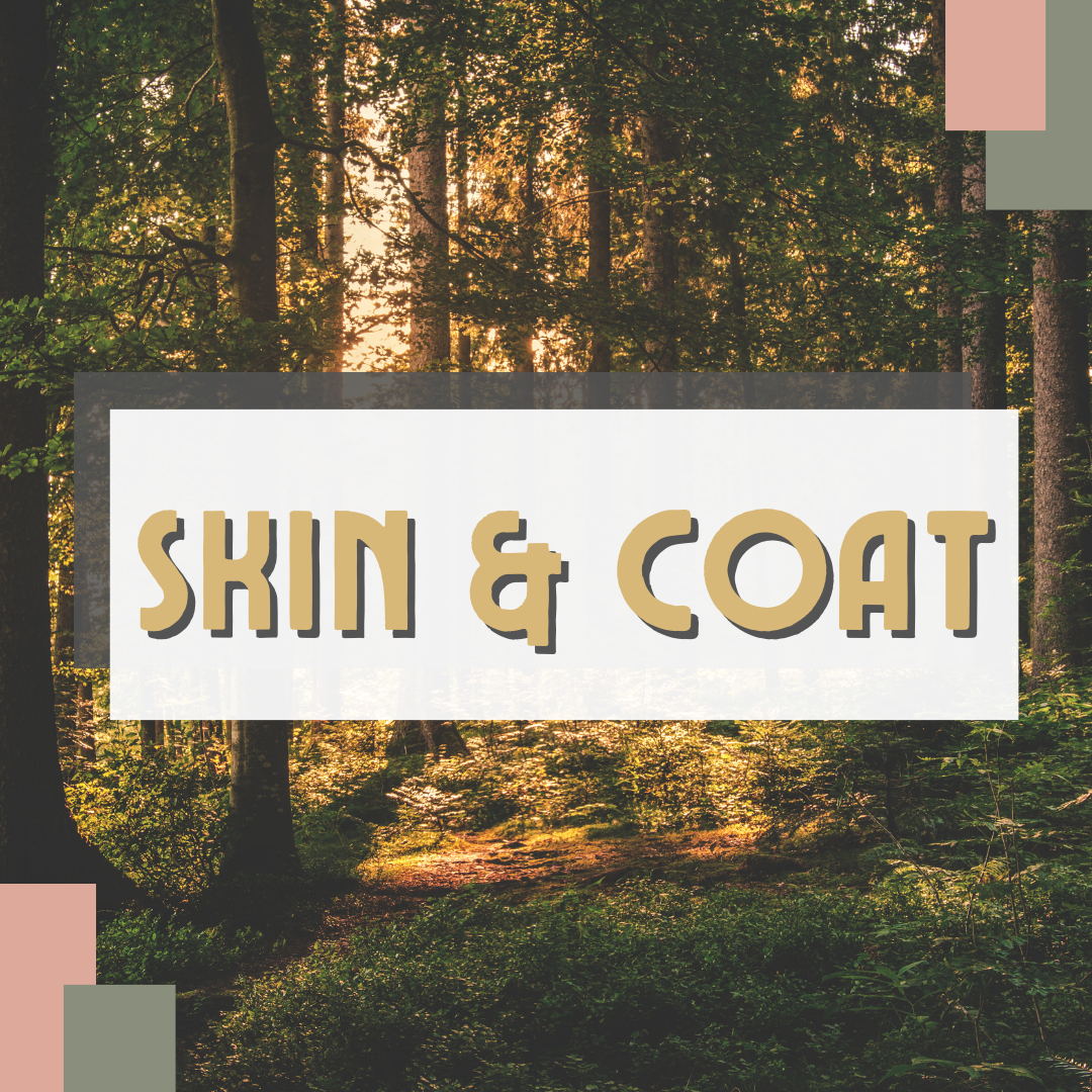 Skin & Coat