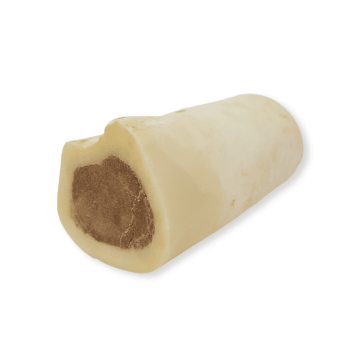 Atlas and Tail Beef Marrow Bone
