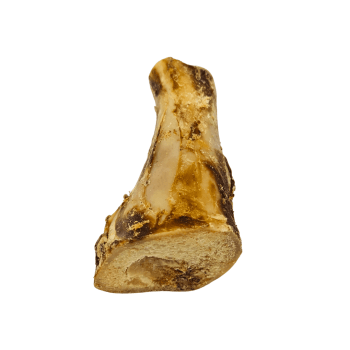 Cut Beef Bone