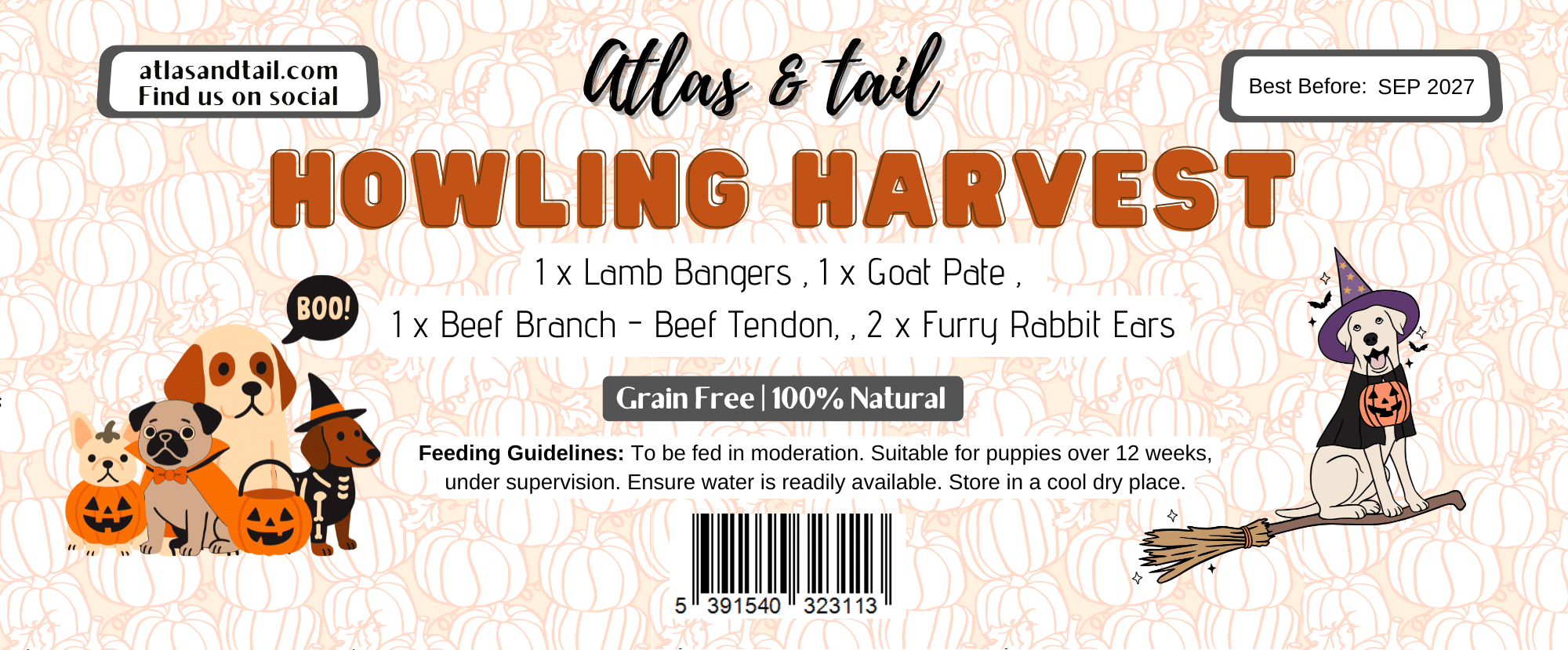 Howling Harvest Treat Box - Image 2